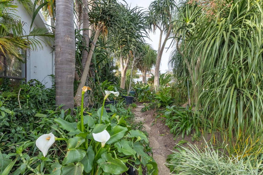 4 Bedroom Property for Sale in Protea Heights Western Cape